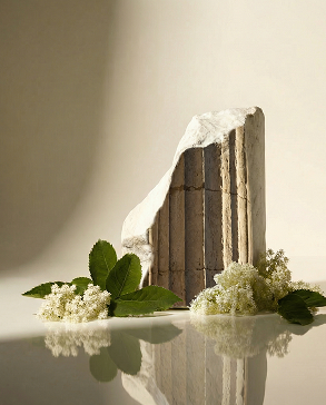 Capitello classico dettaglio architettonico